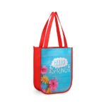 Small Laminated Curved Bottom Non-Woven Gift Bag