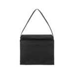 Springs 6-Pack Insulated Cooler Bag