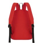 600D Heavy Duty 16″ Backpack