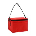 Springs 6-Pack Insulated Cooler Bag