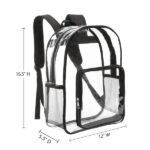 Heavy Duty Clear Security School Backpack