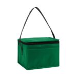 Springs 6-Pack Insulated Cooler Bag