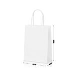 Twisted Handle Kraft Shopper Bag