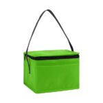 Springs 6-Pack Insulated Cooler Bag