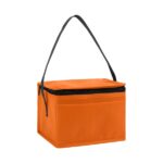 Springs 6-Pack Insulated Cooler Bag