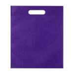 Non-Woven Exhibition Tote Bag