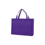 Non-Woven Shopping Tote Bag (16”X 12”X 6”)