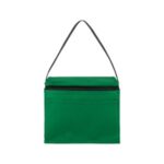 Springs 6-Pack Insulated Cooler Bag