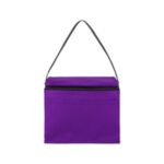 Springs 6-Pack Insulated Cooler Bag