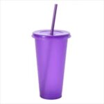 Shining Double Wall Plastic Straw Cup