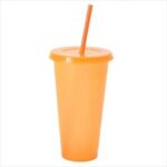 Shining Double Wall Plastic Straw Cup