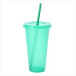 Shining Double Wall Plastic Straw Cup